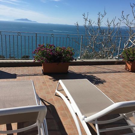 Villa D'Amare Capri View Massa Lubrense Exteriör bild